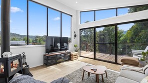 Fernseher, Kamin, DVD-Player