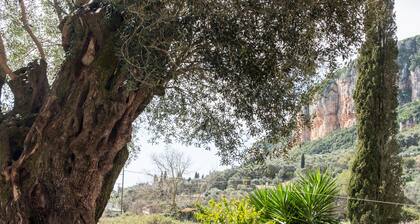 Spiros Holidays House