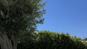 An outdoor table set with a bottle of champagne, a glass, and a candle, surrounded by greenery and a tree. - Villa With Private Pool Terraforte Suites Wellness Activities (Marina di Ragusa)