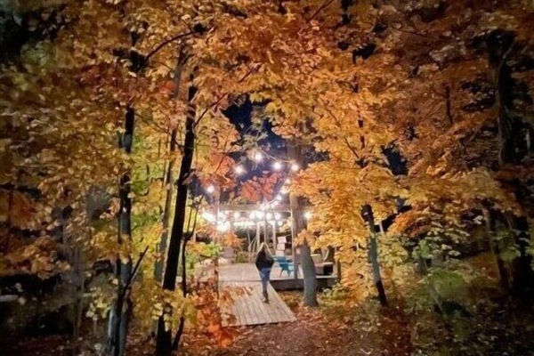 Fall Colour Forest Hikes