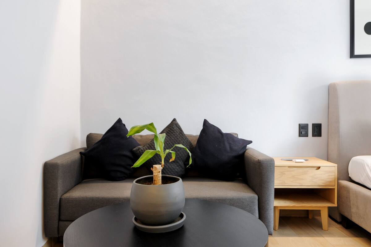 Ein stilvoller, minimalistischer Raum mit grauem Sofa, schwarzen Kissen, einem kleinen Holztisch und einer Topfpflanze.