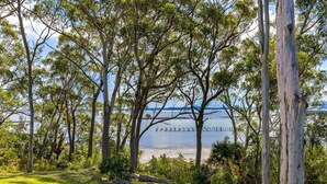 A natural landscape with trees and a body of water. - Tree Tops Water Front Soldiers Point- First Floor (Soldiers Point)
