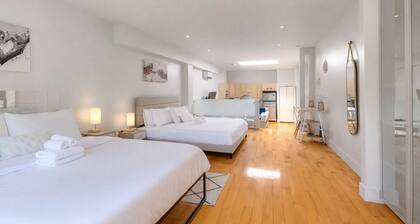 Plateau Mont-Royal | Saint-Denis | Walk Score 99