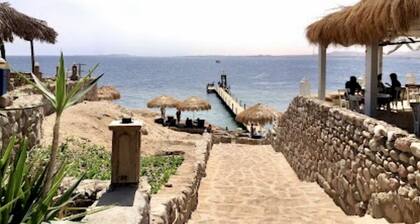 Stylish Boho apartment and garden, few steps from the beach!