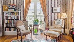 Une pièce chaleureuse avec une bibliothèque, deux fauteuils, une table ornée de plantes et un papier peint à motifs.