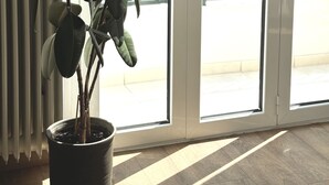 A potted plant near a sliding glass door with a view of a balcony and a building in the background.