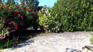 A stone pathway leading to a garden with flowering shrubs and a bench. - Appartement T1 bis Accès Plage à 50m - Rupione (Pietrosella)