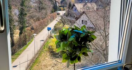 DG "L" Helle 40m² 2-Zimmer Wohnung nähe Salzburg