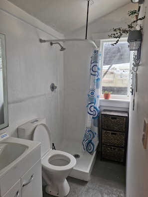Towels, soap, shampoo, toilet paper