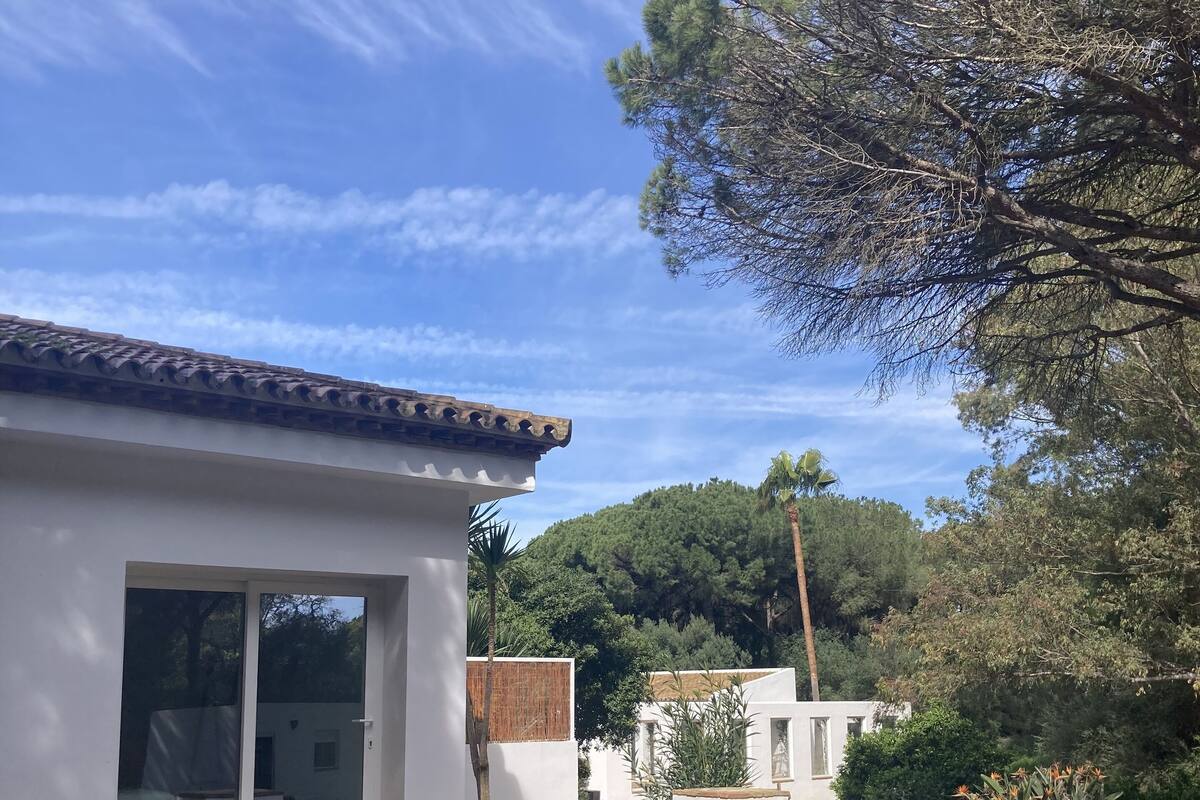 Une maison moderne avec un toit en tuiles, un patio et une pelouse.