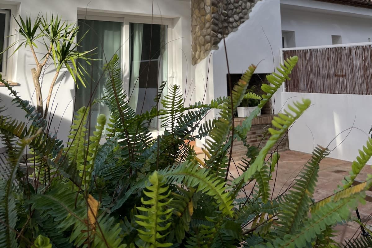 Une maison moderne avec une cheminée en pierre, une fenêtre ornée d’un rideau et, au premier plan, une végétation luxuriante.