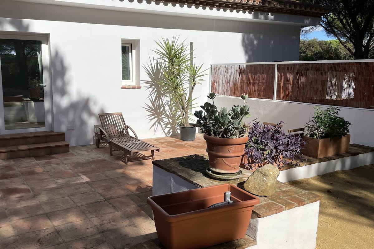 Une terrasse avec une chaise en bois, une plante en pot et une table en pierre.