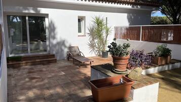 Een terras met een houten stoel, een plant in pot en een stenen tafel.