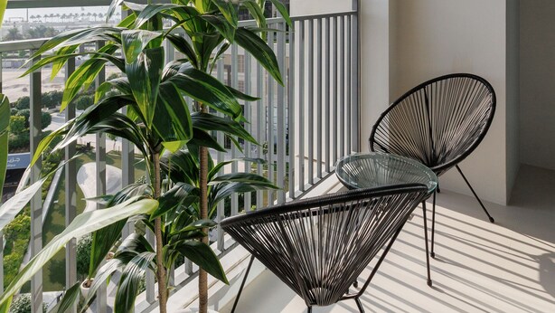 A balcony with two potted plants, two black wireframe chairs, and a view of tall buildings.