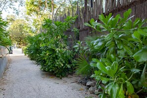 Exterior - Kite Suite 207 (Tulum)