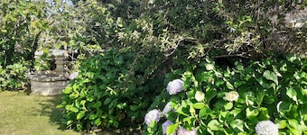 Joli Cottage en Pierres Debouts Dans un Beau Jardin Fleuri Proche Plage