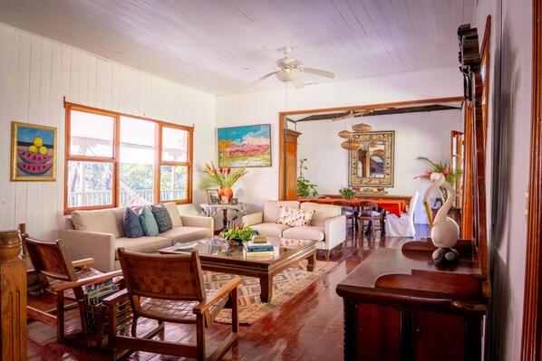 Smart TV, fireplace, books, music library