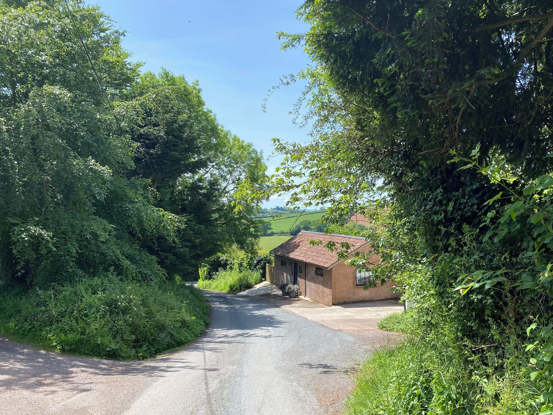 A rural road leading to a house with a red-tiled roof, surrounded by dense greenery.