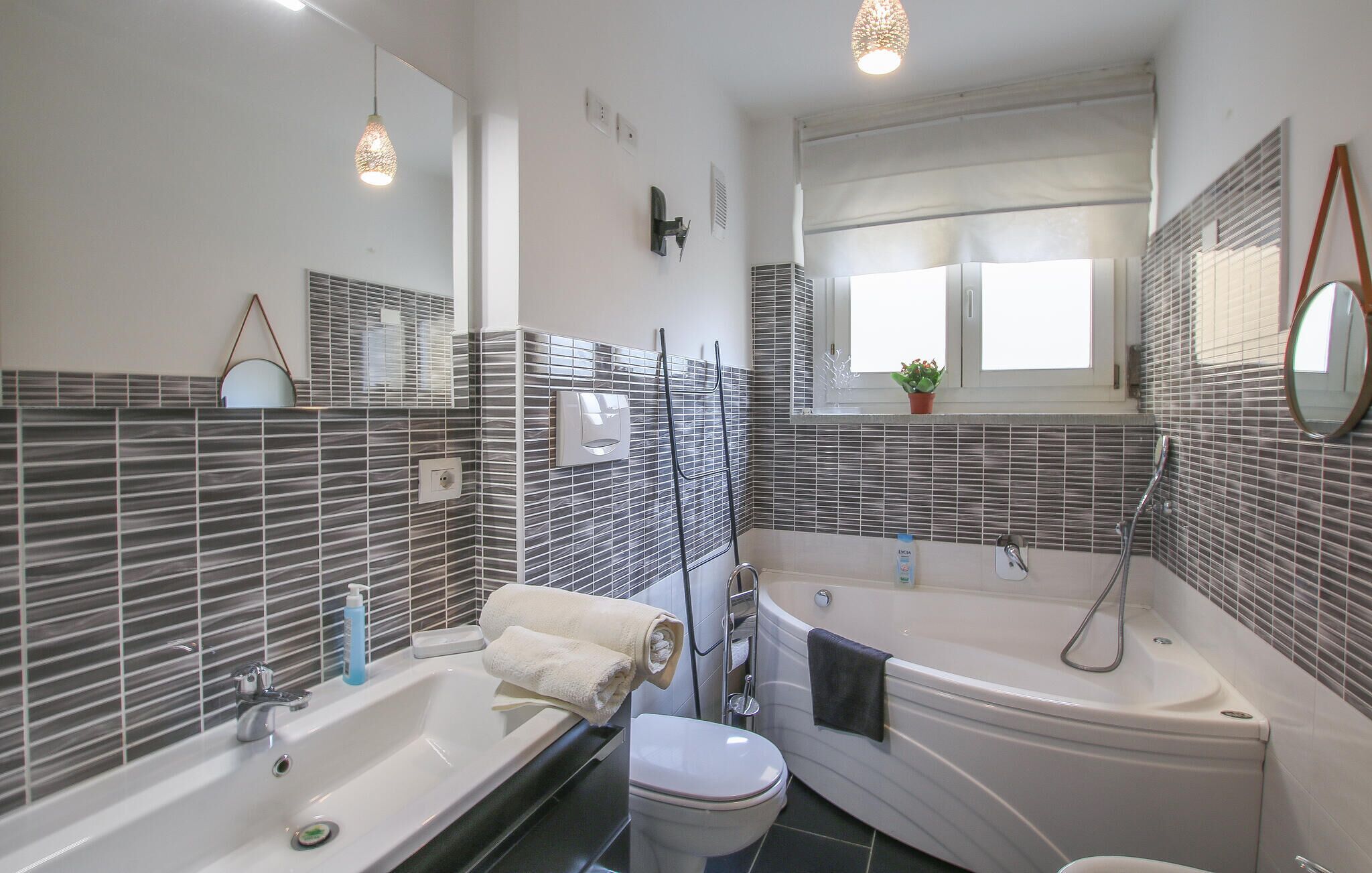 Shower, hair dryer