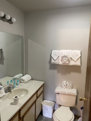 Hair dryer, towels
