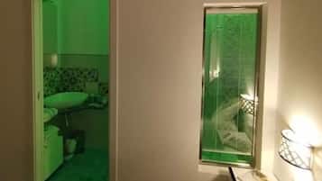 Shower, hair dryer, bidet, towels