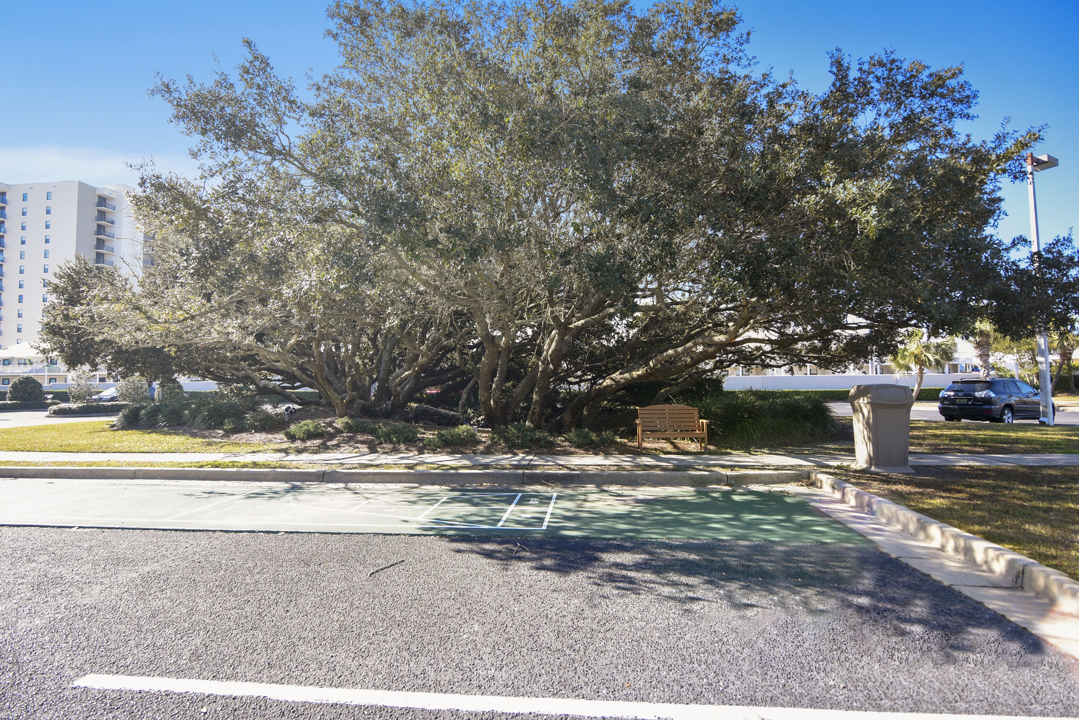 Un árbol grande en un área ajardinada, con un banco y un bote de basura.