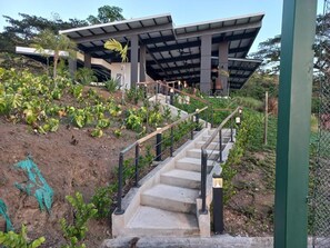 Overnattingsstedets uteområder