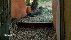 An outdoor area with a tree, a potted plant, and a gravel path.
