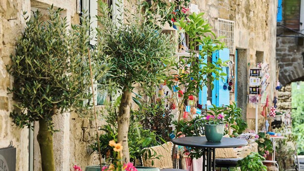 A cobblestone street with potted plants and baskets of produce. - Holiday home with air conditioning and internet (Grožnjan)