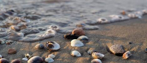 ชายหาด