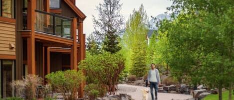 A modern building with a wooden facade, a stone pathway, and a dog walking.