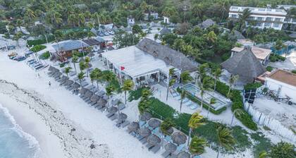 Amazing Villa near Tulum - Pool - Concierge - Chef