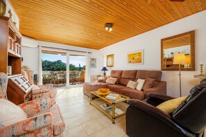 TV, fireplace, DVD player