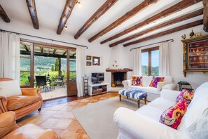 Televisión, chimenea, reproductor de DVD y tenis de mesa 