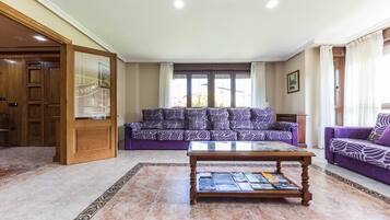 Televisie, een open haard en een tafeltennistafel