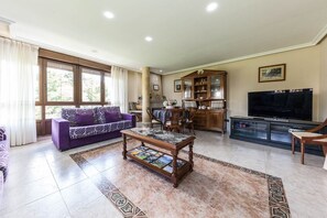 TV, fireplace, ping pong