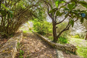 A stone pathway flanked by lush greenery and trees.