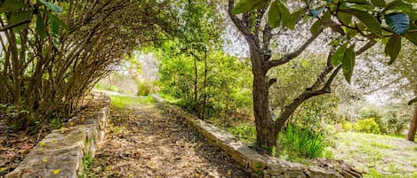 Terrein van de accommodatie