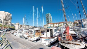 A marina with multiple boats docked, a wooden walkway, and buildings in the background.