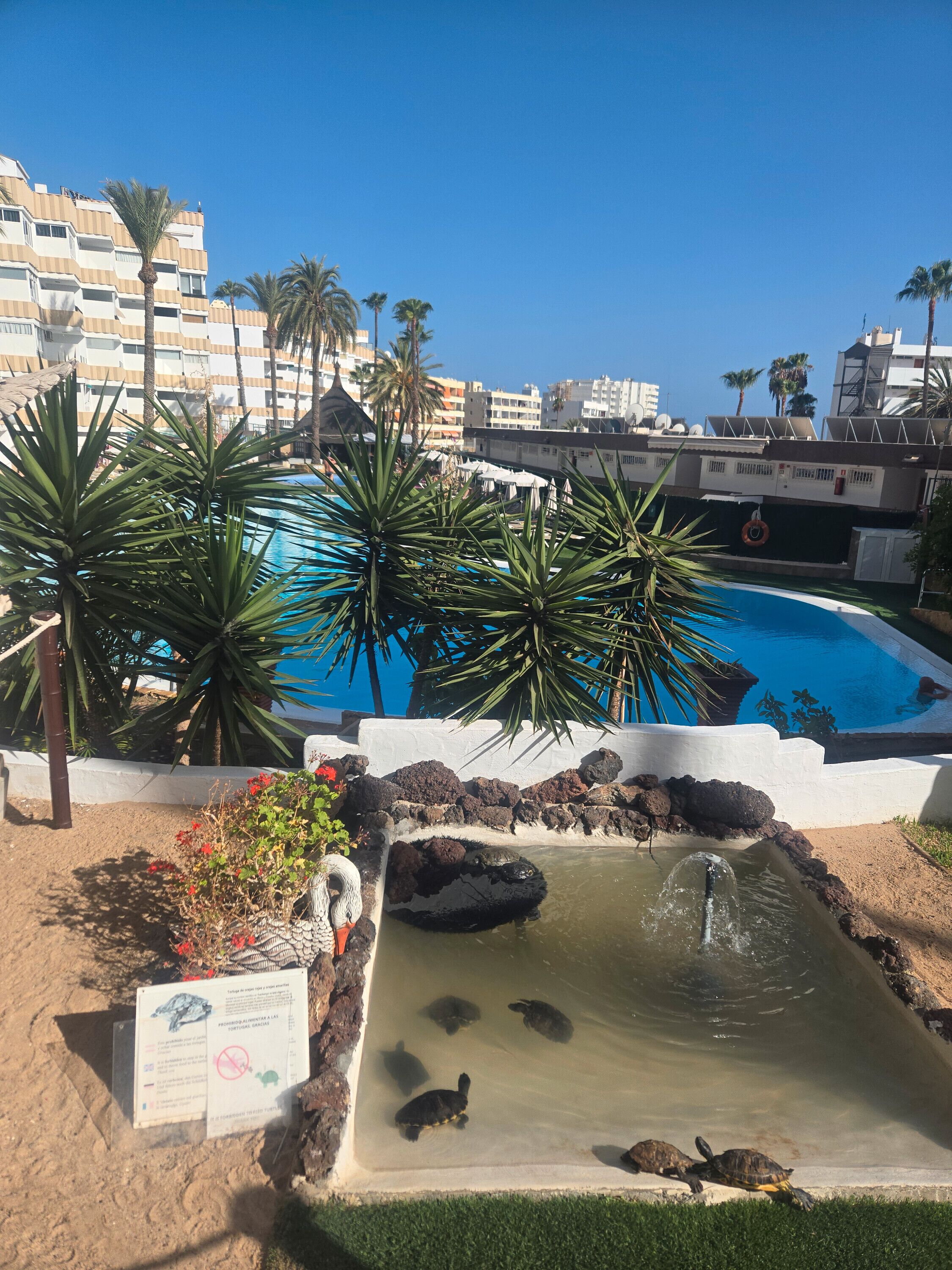 Et oppvarmet basseng