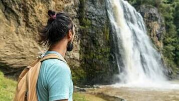 Shower, toilet paper