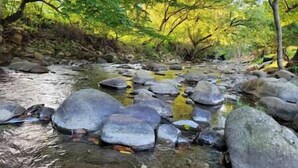 Miscellaneous - NEW Rio Relaxing RV site! (Del Rio)