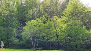 Outdoor dining - NEW Rio Relaxing RV site! (Del Rio)