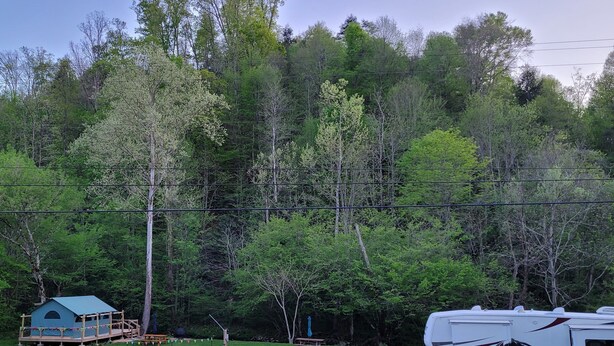 Property grounds - NEW Rio Relaxing RV site! (Del Rio)