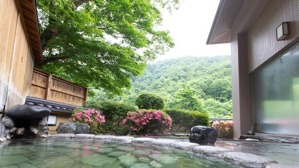 Un jardin japonais traditionnel avec un bassin à carpes koï, des structures en bois et une végétation luxuriante.