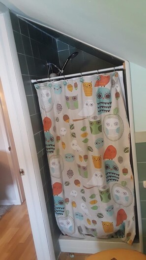 Dusche, Whirlpool, Haartrockner, Handtücher