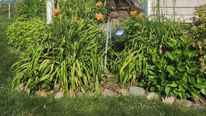 A residential garden with a pergola, a pathway, and a variety of plants.