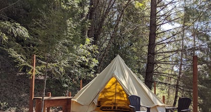 Mendocino Magic
