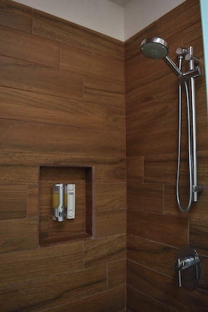 Ducha, secador de pelo, shampoo