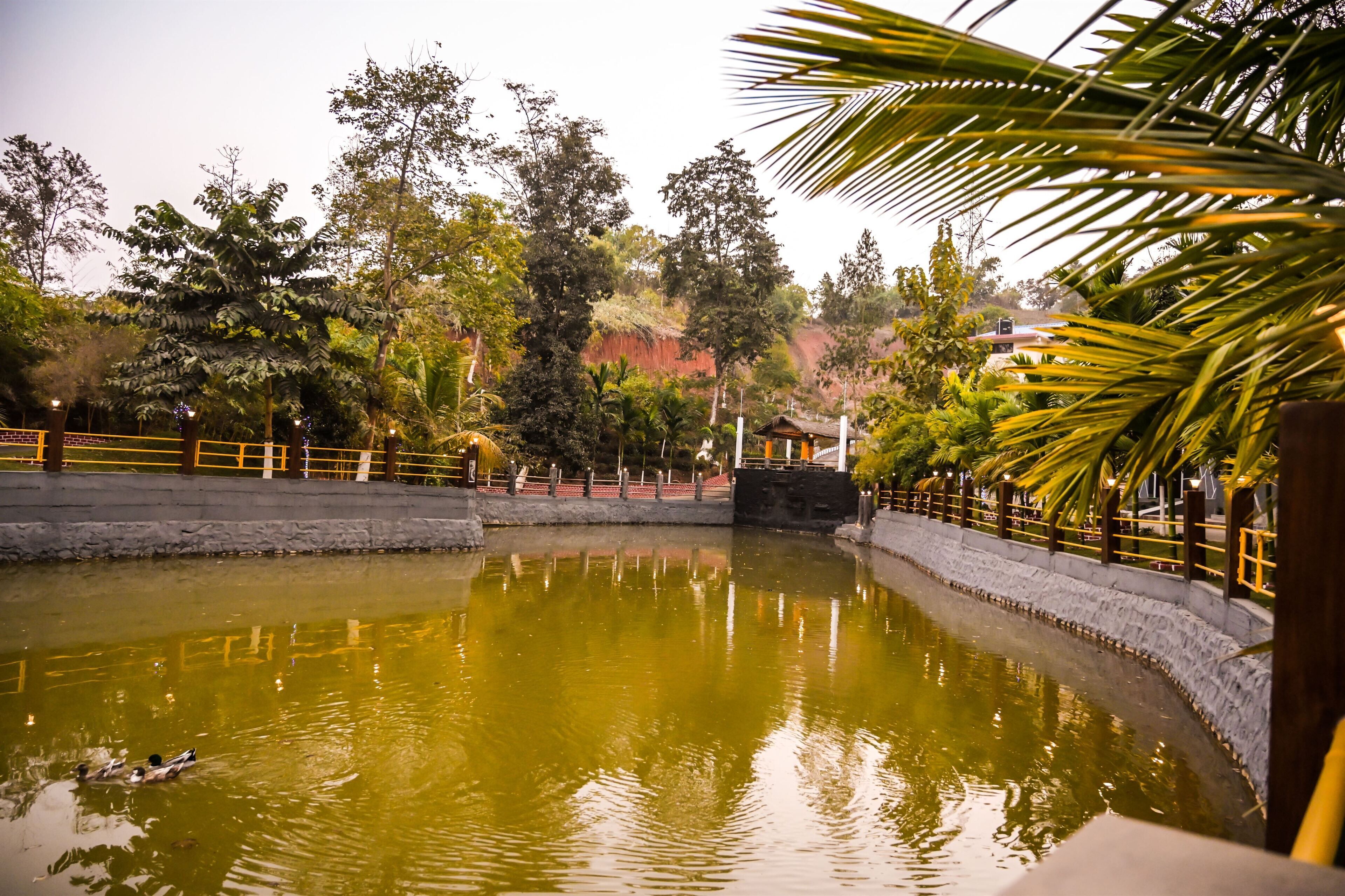 A tranquil pond with a wooden bridge, surrounded by lush greenery and a stone wall.